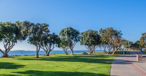 Chula Vista Bayside Park Grassy Area