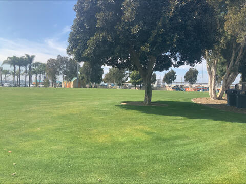 Rec Field at Cesar Chavez Park 