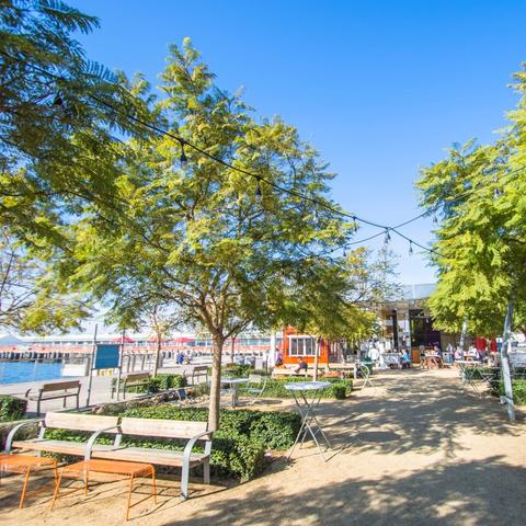 Trees, benches, tables, and string lights at Broadway Plaza Park at the Port of San Diego