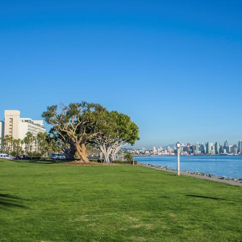 Harbor Island Park looking over the green grass to the blue water of the San Diego Bay