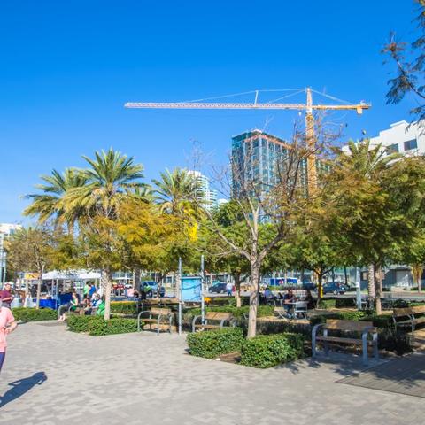 Benches and trees at Broadway Plaza at the Port of San Diego