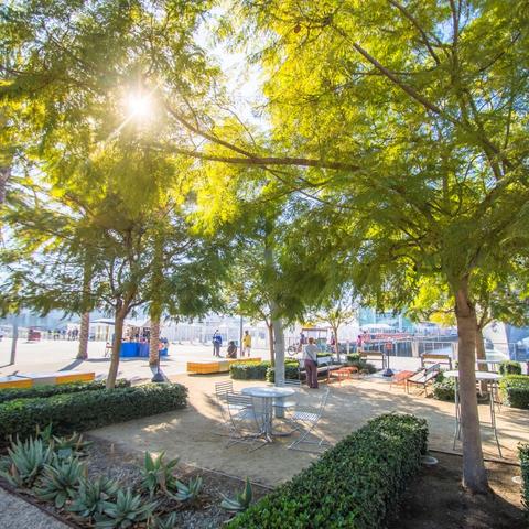 Tables and trees at Broadway Plaza at the Port of San Diego
