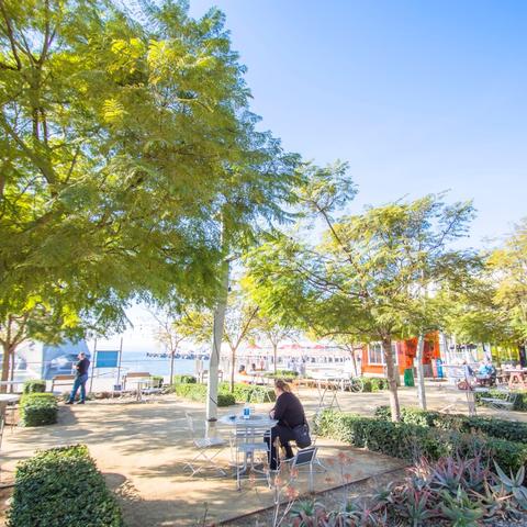 Tables and trees at Broadway Plaza at the Port of San Diego