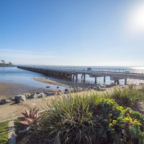 Plants and fishing pier at Chula Vista Bayside Park at the Port of San Diego