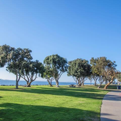 Trees, grass, and walkway at Harbor Park (formerly Bayside Park) at the Port of San Diego