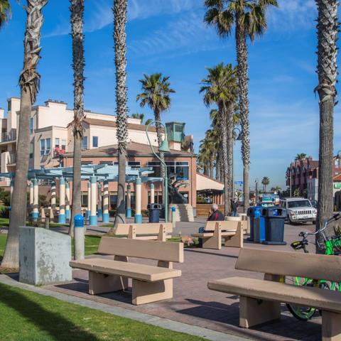 Benches and trees at Dunes Park at the Port of San Diego