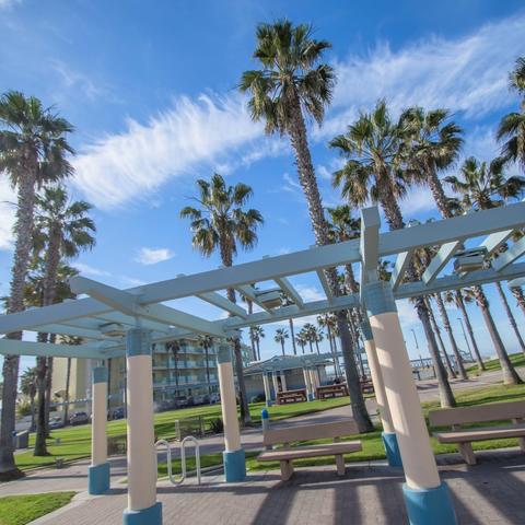 Trees and benches at Dunes Park at the Port of San Diego