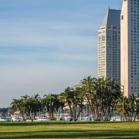 Trees and grass at Embarcadero Marina Park South at the Port of San Diego