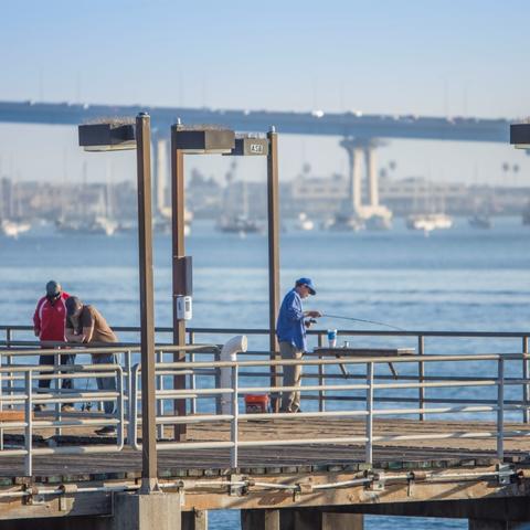  People fishing at the pier at Embarcadero Marina Park South at the Port of San Diego
