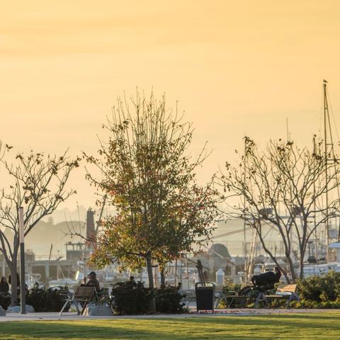 People sitting on benches under trees, with orange-yellow skies and marina in the background at Ruocco Park at the Port of San Diego