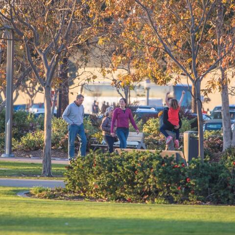 Ruocco Park – Group of five people walking along pathway 