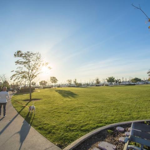 Man walking his dog on a leash over the luscious green grass at Ruocco Park at the Port of San Diego