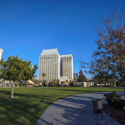 Grass, trees, and path at Ruocco Park at the Port of San Diego