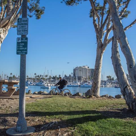 Cyclist biking along the marina surrounded by trees and grass at Spanish Landing Park at the Port of San Diego