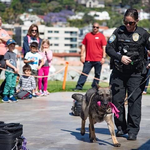 Harbor Police At The Ready K9