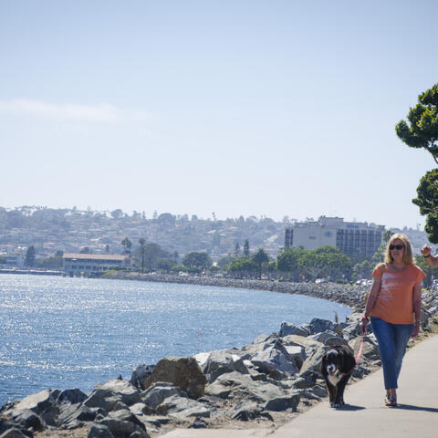 a couple walks their dog along the water of the San Diego Bay