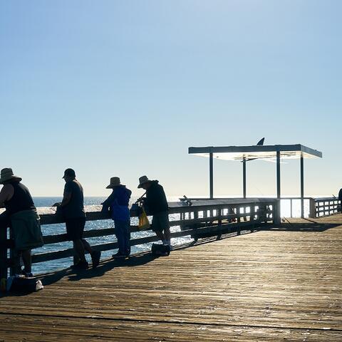 Shade canopy and people on the IB Pier