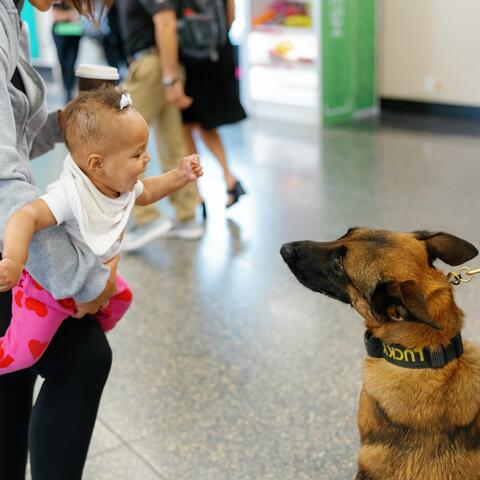 a baby smiles at a Harbor Police K9 officer