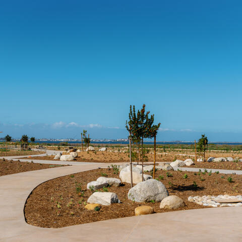 Landscape