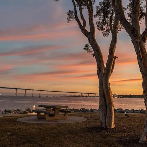 Sunset at Embarcadero Marina Park South