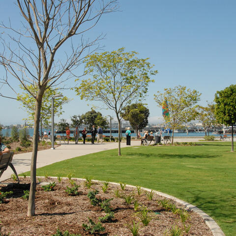 Ruocco Park grass lawn and bay view
