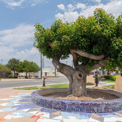 Cannery Worker's Tribute, Mosaic Sun