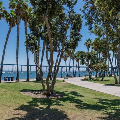 Image of trees, grass and a pedestrian walkway looking toward the blue Coronado Bridge in Tidelands Park in Coronado along San Diego Bay.