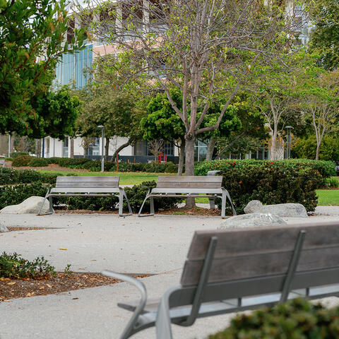 Ruocco Park - 2026