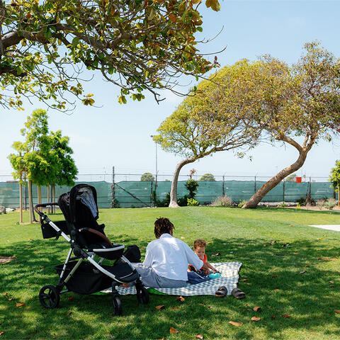 Pepper Park Picnic