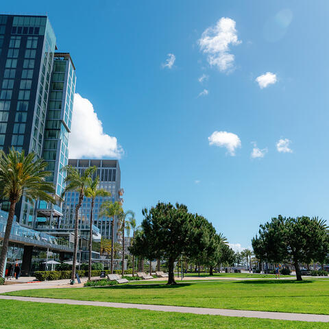 Lane Field Park